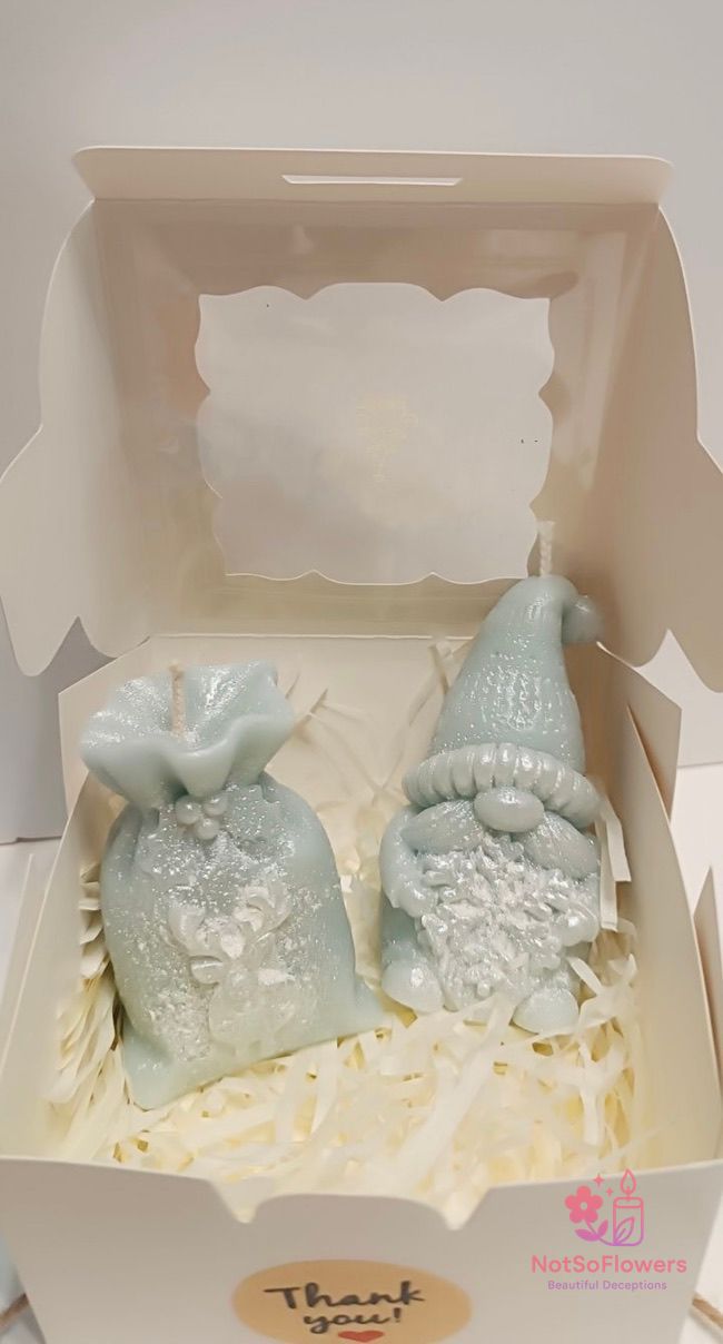 Christmas elf and bagjpeg