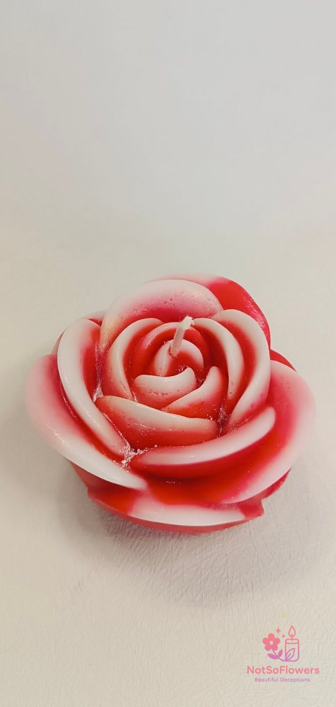 Candle rose1_2